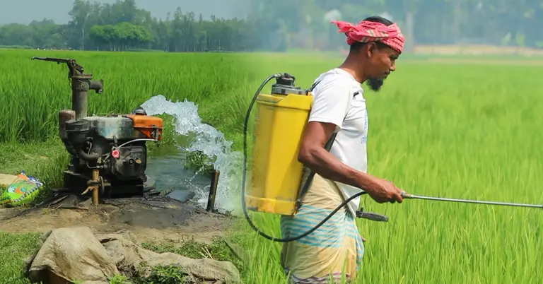 মাঠে কাজ করছেন কৃষকরা